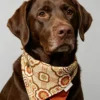 Floral Pattern Dog Bandana