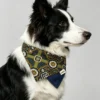 Pet scarves, cat and dog scarves, cat and dog drool bibs, pet bandanas (4) Floral Pattern Dog Bandana
