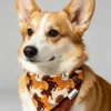 Pet scarves, cat and dog scarves, cat and dog drool bibs, pet bandanas (6) Retro Horse Print Dog Bandana