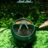 Smart reptile terrarium fan, humidity controlled ventilation fan, reptile tank cooling fan, digital temp humidity exhaust fan, vivarium circulation ventilator, reptile fog removal fan Smart Reptile Terrarium Fan - Auto Humidity & Temperature Control Ventilator