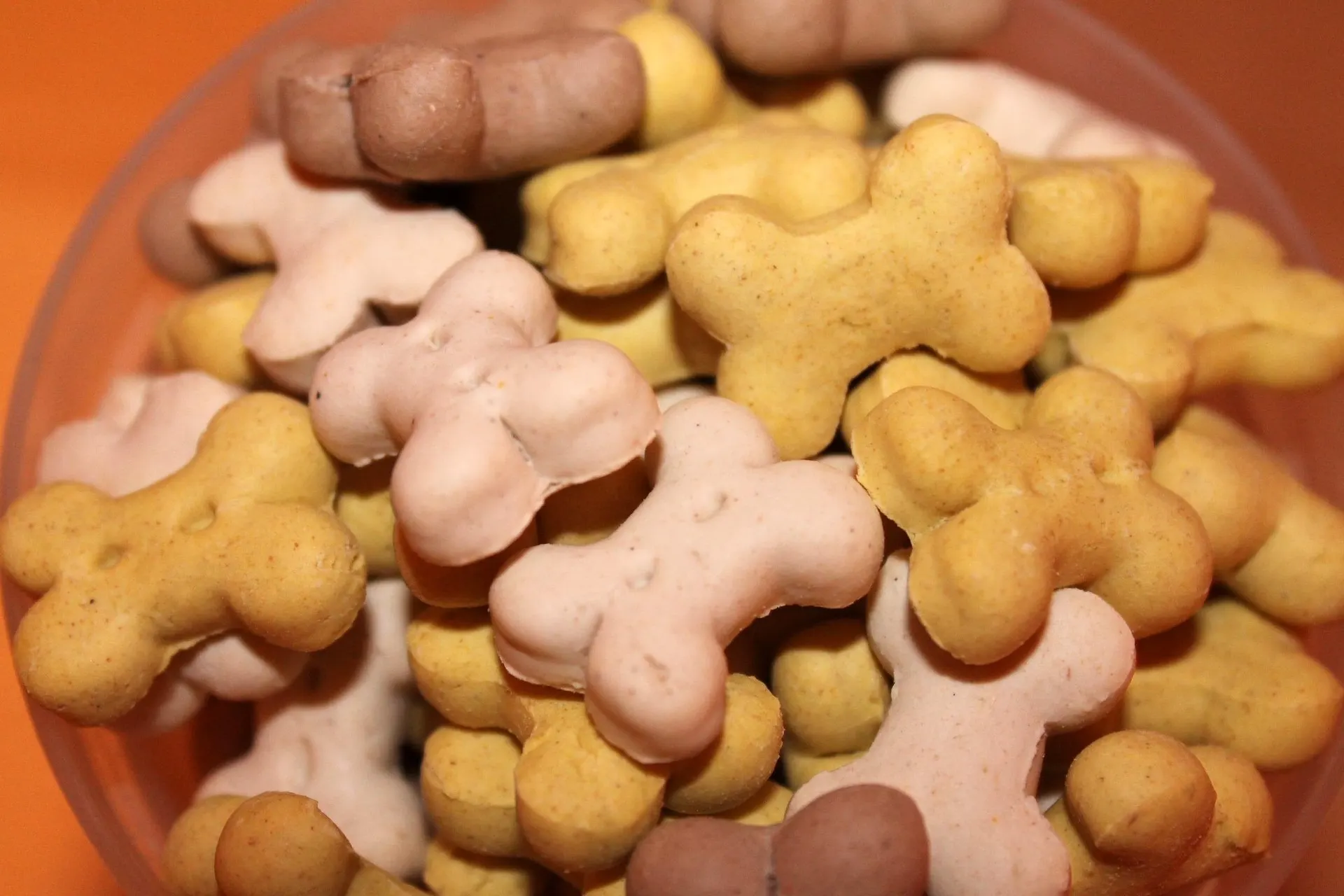 Colorful bone-shaped dog biscuits in yellow and beige tones in orange bowl