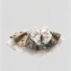 图片修改需求 (3)_副本-compressed Retro Khaki Paisley Lace Ruffled Kitten Collar Bib