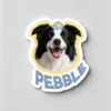 图片处理需求 (10)_副本-compressed Custom Pet Magnet