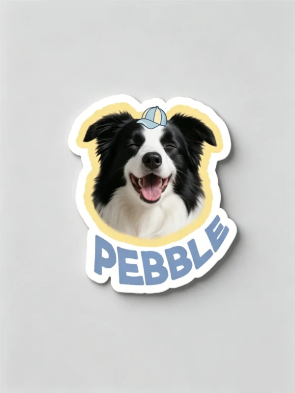图片处理需求 (10)_副本-compressed Custom Pet Magnet