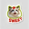 图片处理需求 (13)_副本-compressed Custom Pet Magnet