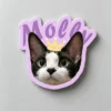 图片处理需求 (3)_副本-compressed Custom Pet Magnet
