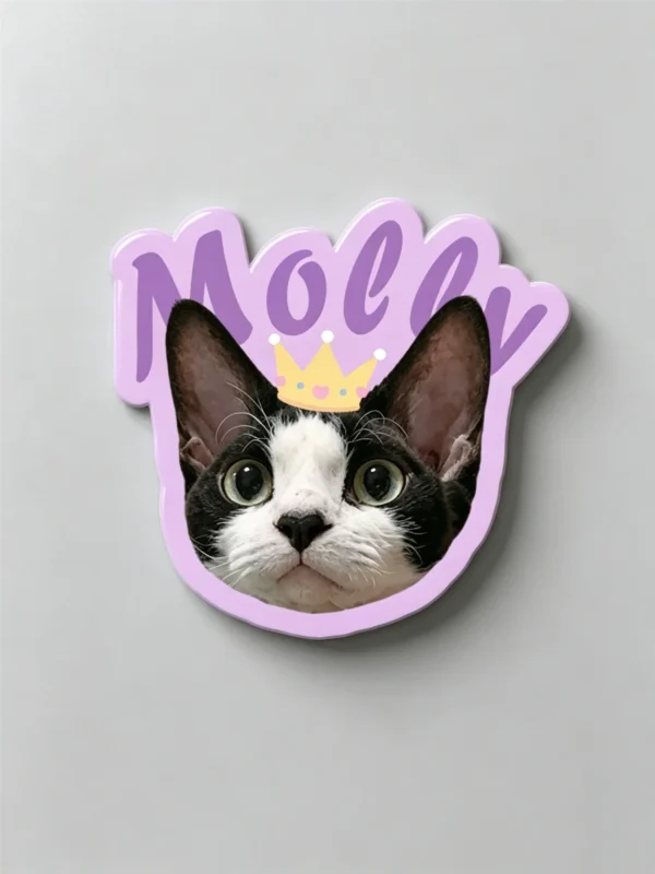 图片处理需求 (3)_副本-compressed Custom Pet Magnet