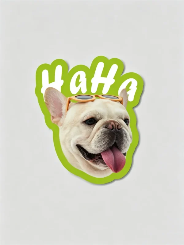 图片处理需求 (4)_副本-compressed Custom Pet Magnet