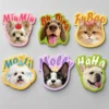 图片处理需求 (5)_副本-compressed Custom Pet Magnet