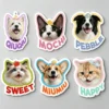 图片处理需求 (6)_副本-compressed Custom Pet Magnet