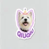 图片处理需求 (8)_副本-compressed Custom Pet Magnet