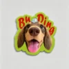 图片处理需求_副本-compressed Custom Pet Magnet