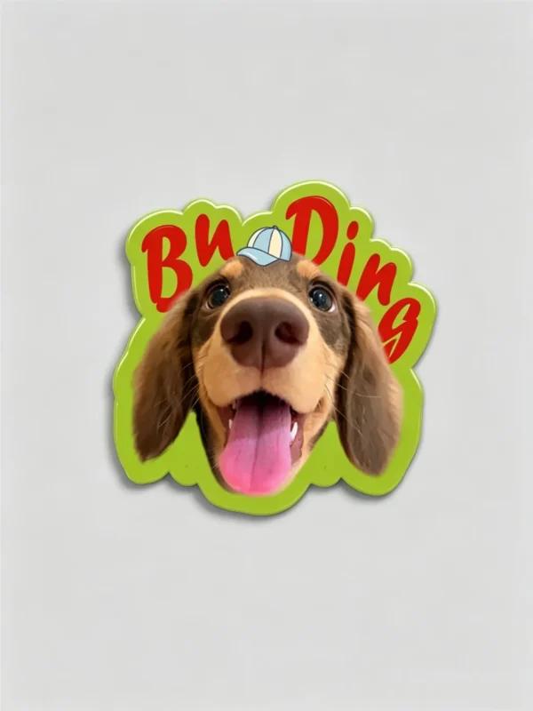 图片处理需求_副本-compressed Custom Pet Magnet