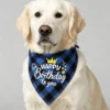 Birthday Party Dog Bandana