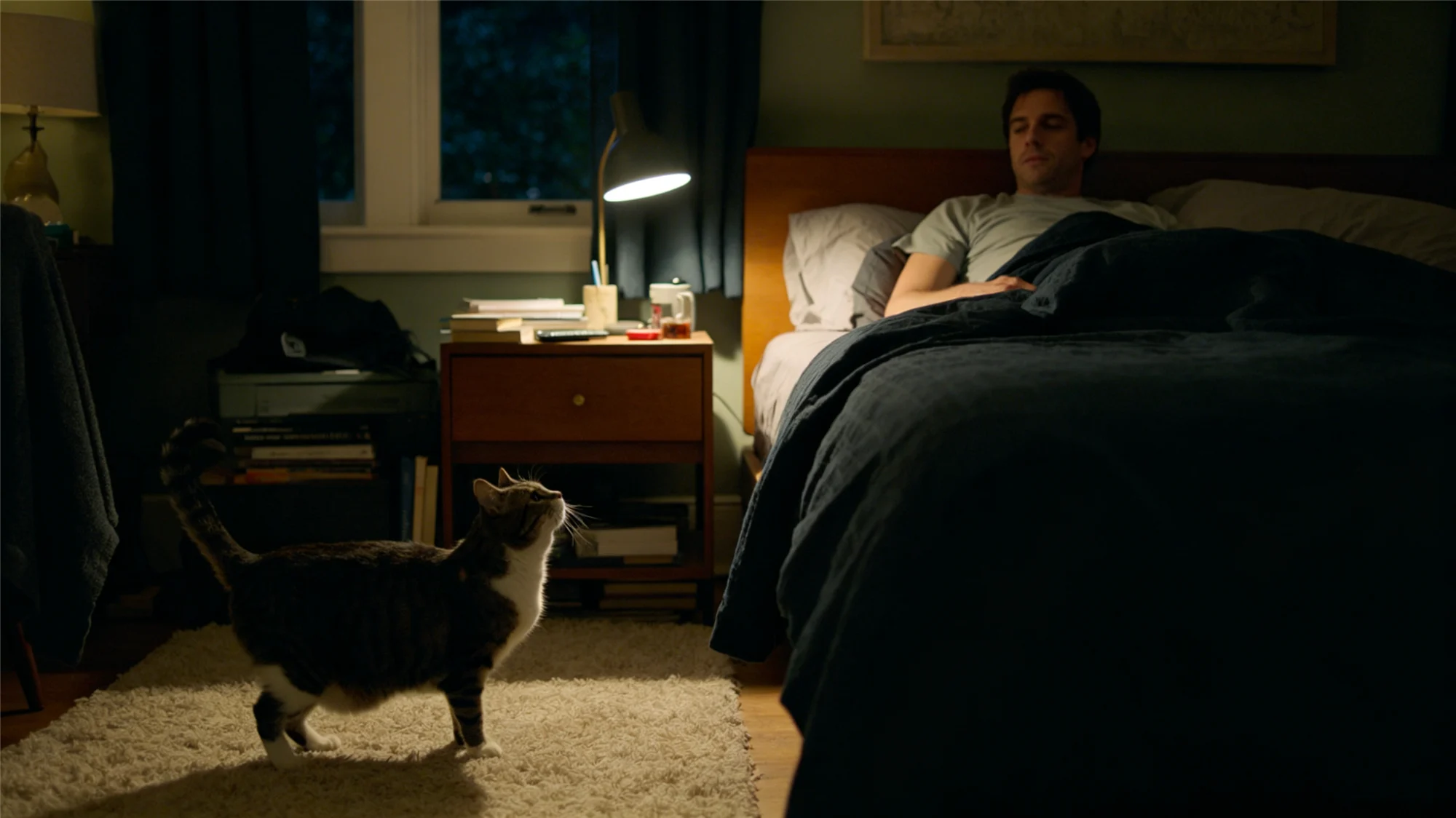 Cat standing on bedroom carpet looking at owner in bed