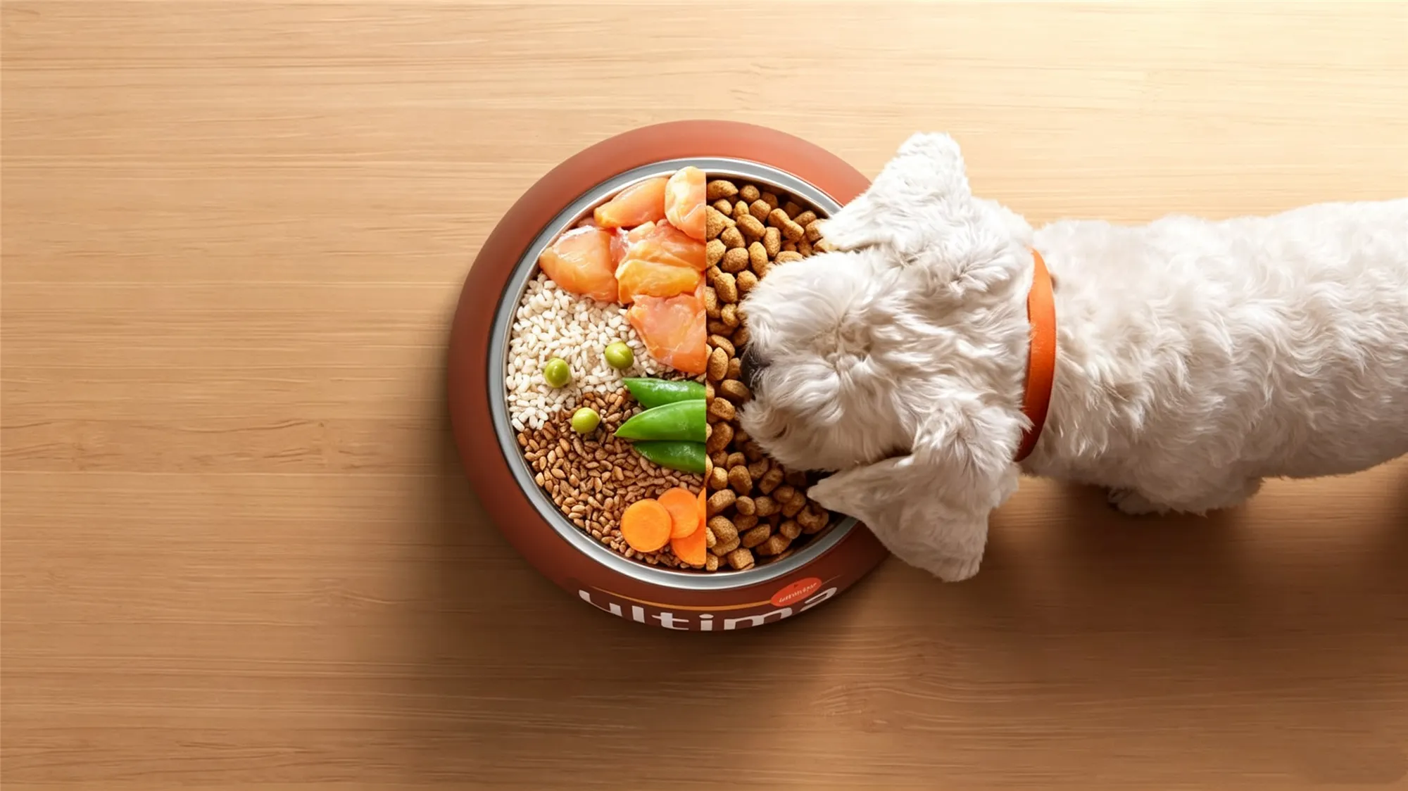 White dog eating fresh salmon and vegetables from stainless steel dog bowl