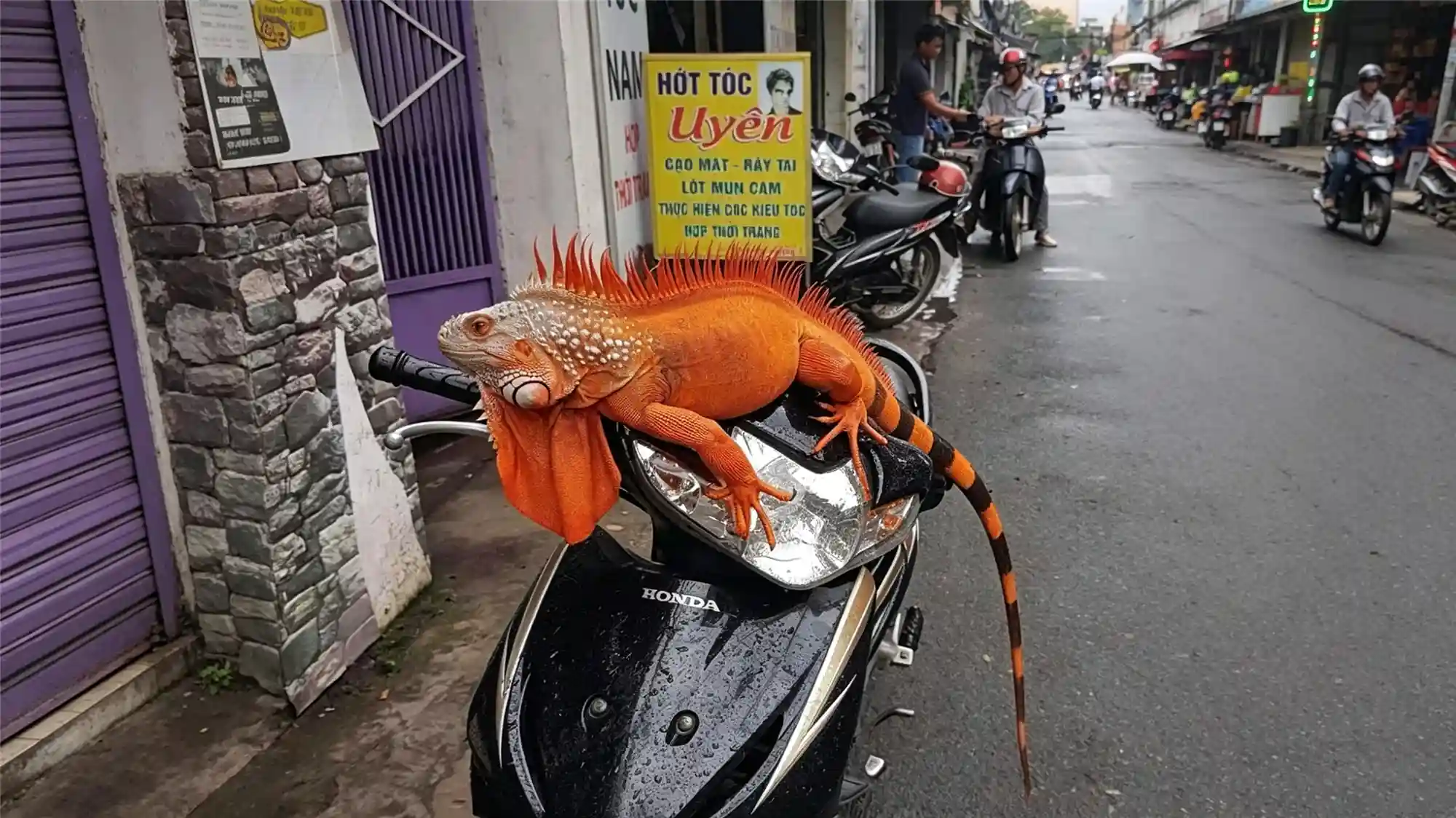 Vibrant orange iguana resting on motorcycle seat in urban setting