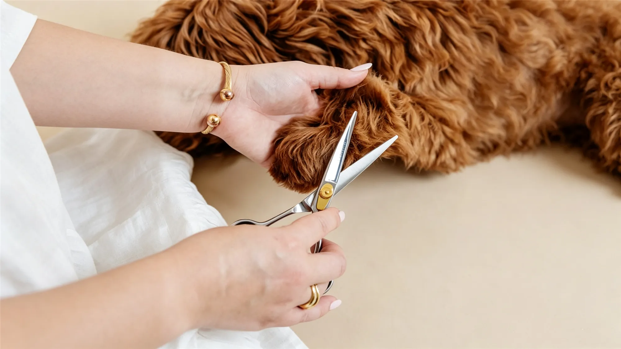 Close-up of professional grooming scissors trimming a dog's paw hair
